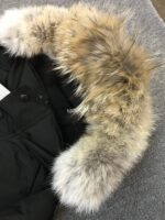 Canada Goose Emory Black/Black Label Jacket - Image 5