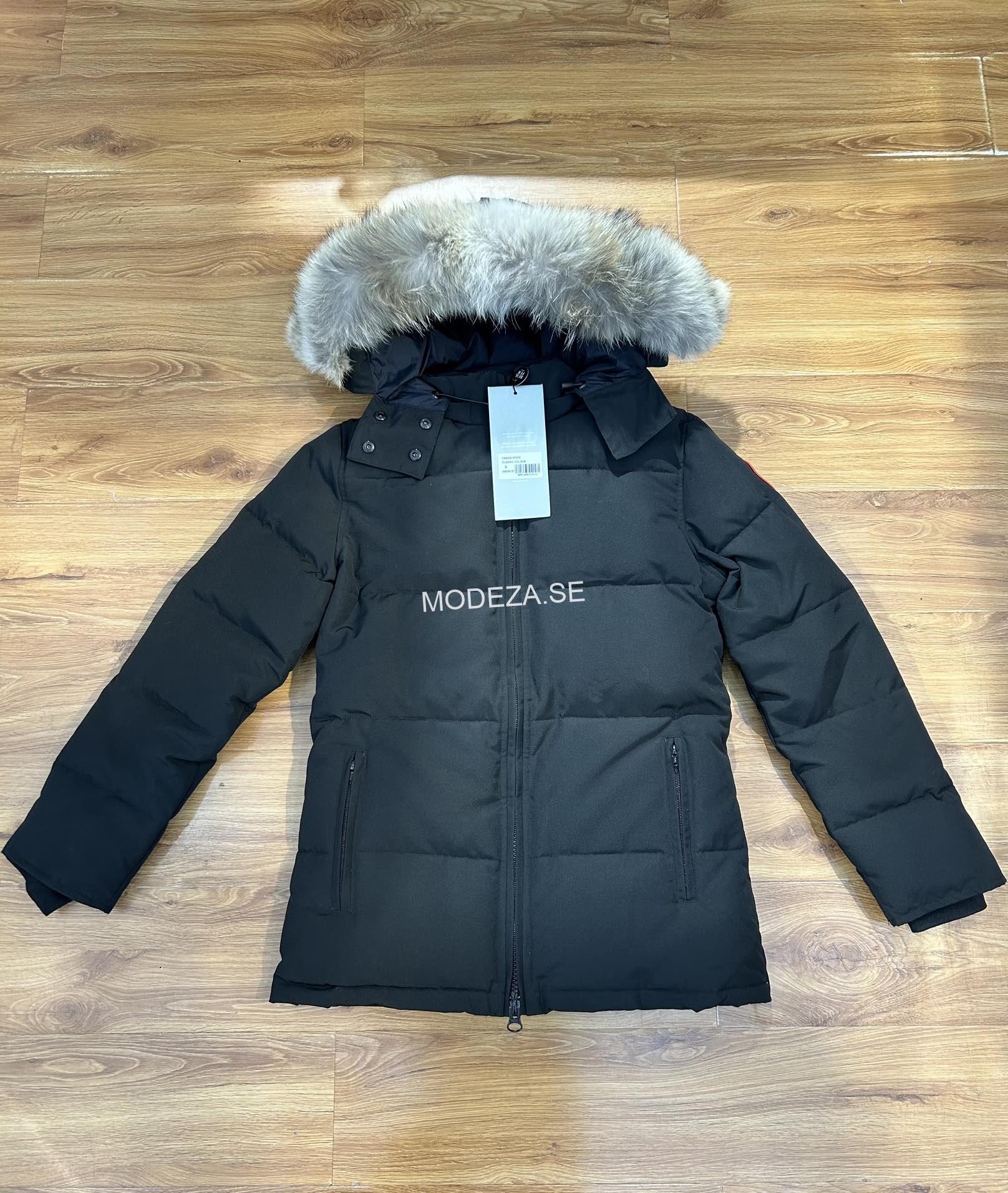 38785c36 Canada Goose Women's Chelsea Parka Black Jacket - Image 1