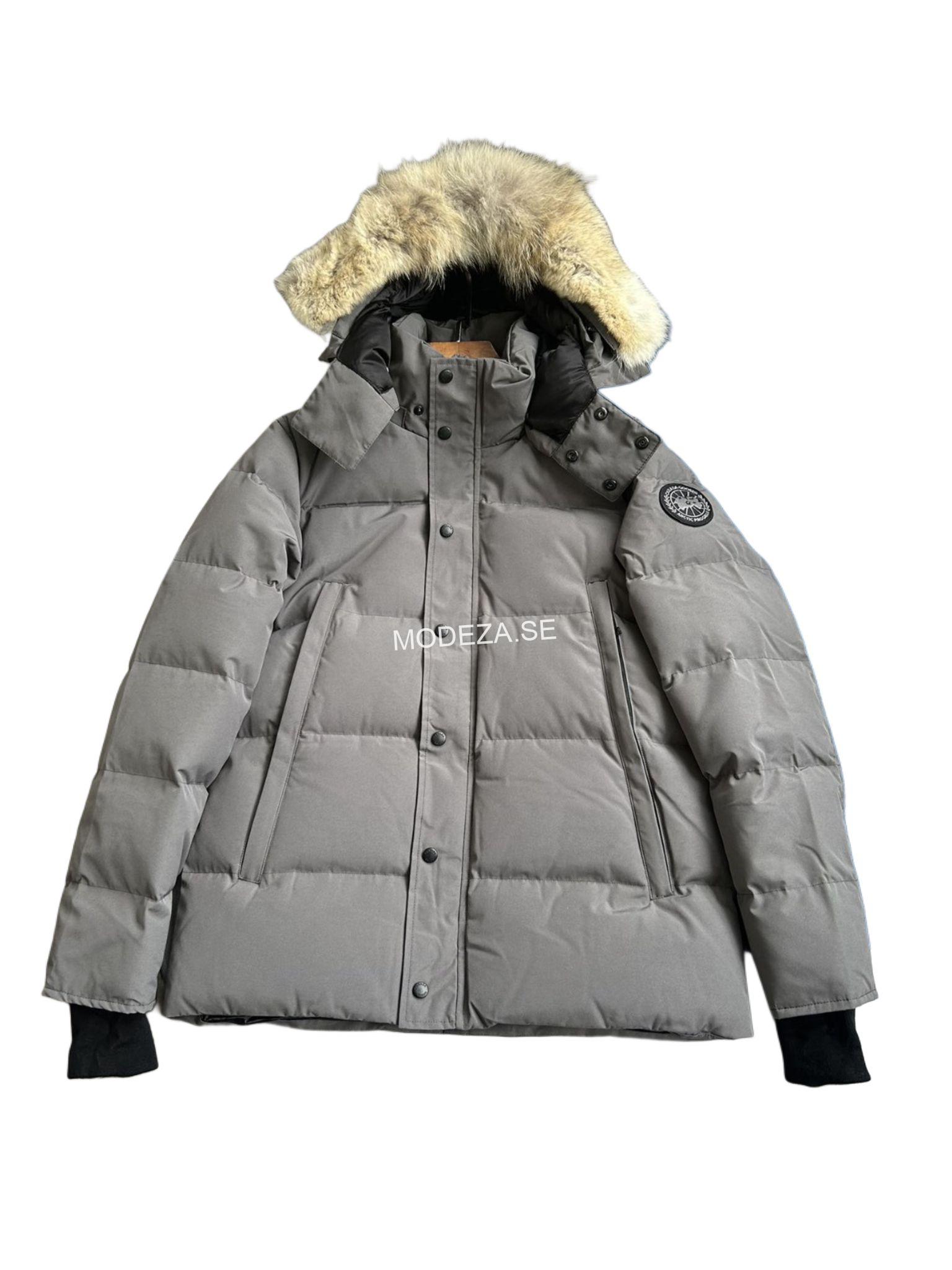 WhatsApp Bild 2024-09-24 kl. 23.46.44_61c1c8c3 Canada Goose Wyndham Grey/Black Label Jacket - Image 1