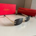 Cartier Eyewear #1