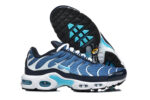 Nike Air max Tn