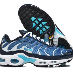 Nike Air max Tn