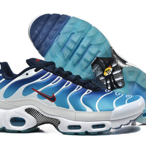 Nike Air max Tn