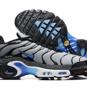 Nike Air max Tn