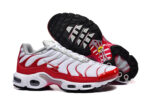 Nike Air max Tn