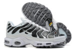 Nike Air max Tn