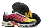 Nike Air max Tn