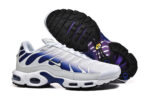 Nike Air max Tn