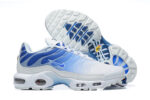 Nike Air max Tn