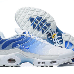 Nike Air max Tn