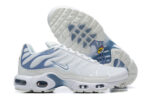 Nike Air max Tn