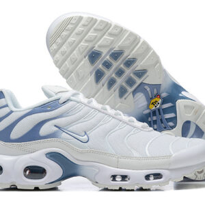 Nike Air max Tn