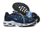 Nike Air max Tn