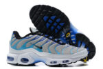 Nike Air max Tn