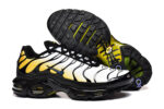 Nike Air max Tn