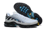 Nike Air max Tn