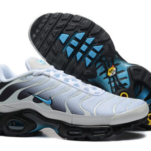 Nike Air max Tn
