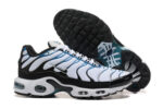 Nike Air max Tn