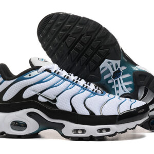 Nike Air max Tn
