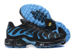 Nike Air max Tn