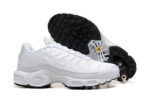 Nike Air max Tn