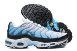 Nike Air max Tn