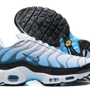 Nike Air max Tn