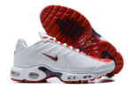 Nike Air max Tn
