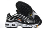 Nike Air max Tn