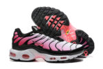 Nike Air max Tn