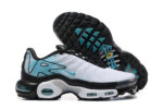 Nike Air max Tn
