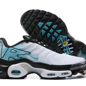 Nike Air max Tn