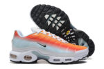 Nike Air max Tn