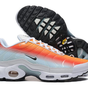 Nike Air max Tn