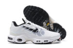 Nike Air max Tn