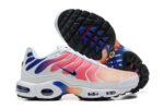 Nike Air max Tn