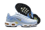 Nike Air max Tn
