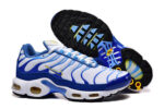 Nike Air max Tn