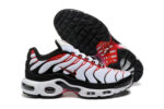 Nike Air max Tn