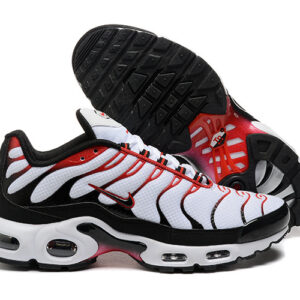 Nike Air max Tn