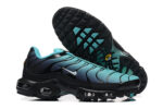 Nike Air max Tn