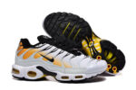 Nike Air max Tn