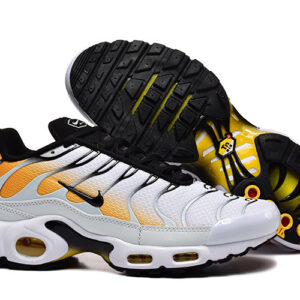Nike Air max Tn