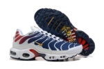 Nike Air max Tn
