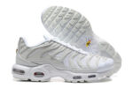 Nike Air max Tn