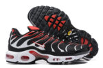 Nike Air max Tn