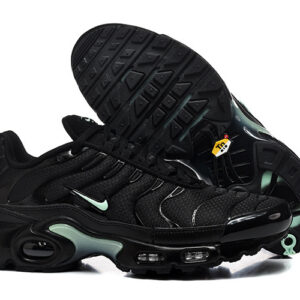 Nike Air max Tn