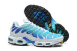 Nike Air max Tn