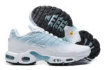 Nike Air max Tn