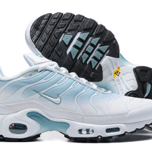 Nike Air max Tn